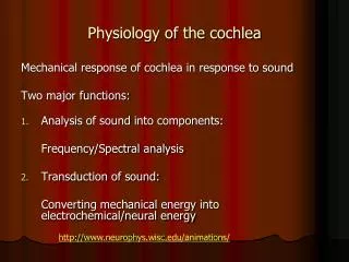 Physiology of the cochlea