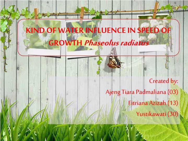 kind of water influence in speed of growth phaseolus radiatus
