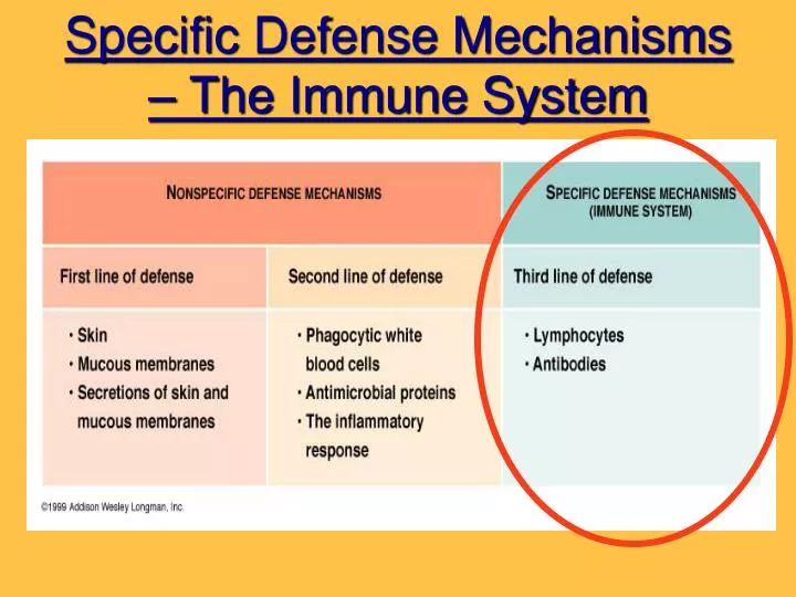 specific defense mechanisms the immune system