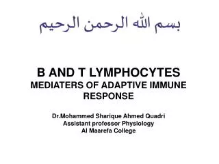 B AND T LYMPHOCYTES MEDIATERS OF ADAPTIVE IMMUNE RESPONSE Dr.Mohammed Sharique Ahmed Quadri