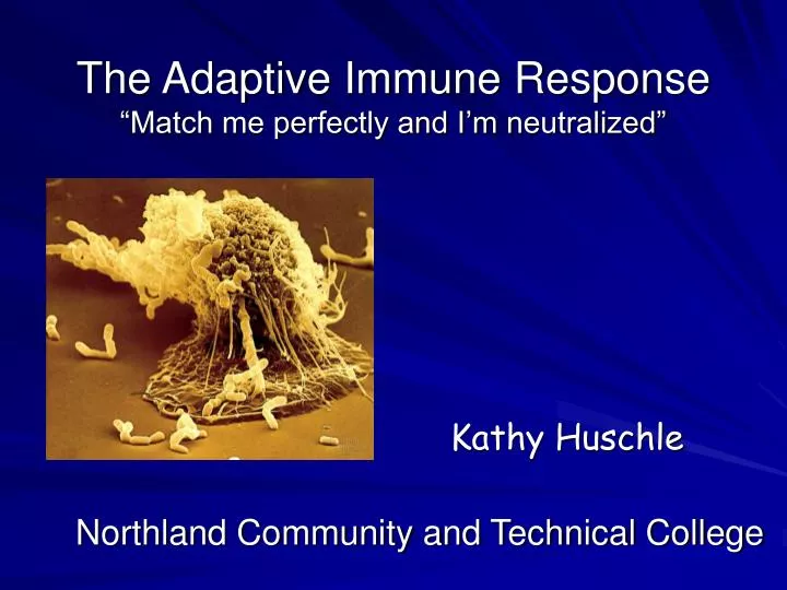 the adaptive immune response match me perfectly and i m neutralized