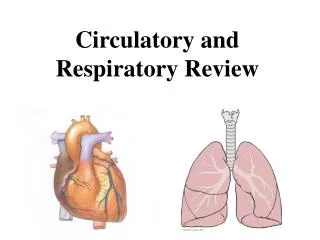 Circulatory and Respiratory Review