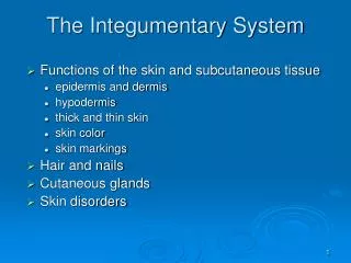 the integumentary system