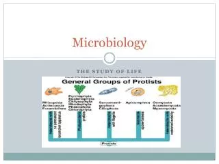 Microbiology