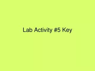Lab Activity #5 Key