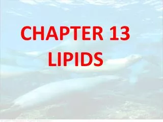 CHAPTER 13 LIPIDS