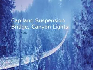 Capilano Suspension Bridge, Canyon Lights
