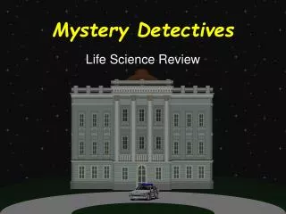 Mystery Detectives