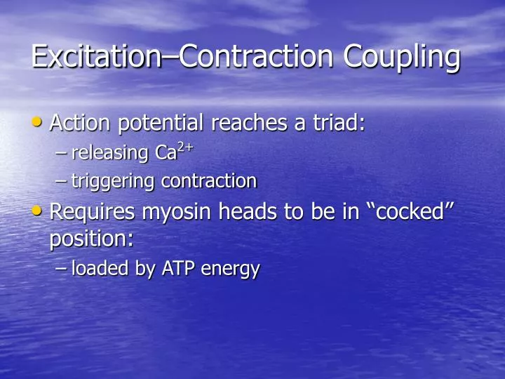 excitation contraction coupling for dummies