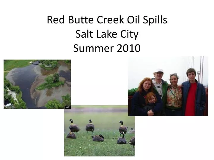 red butte creek oil spills salt lake city summer 2010