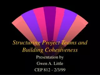 Structuring Project Teams and Building Cohesiveness