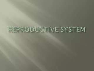 REPRODUCTIVE SYSTEM