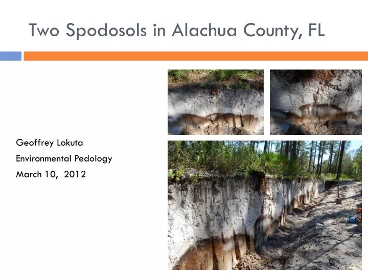 two spodosols in alachua county fl