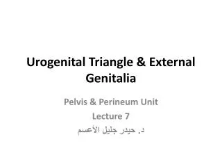 Urogenital Triangle &amp; External Genitalia