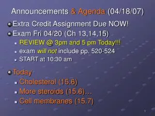 Announcements &amp; Agenda (04/18/07)