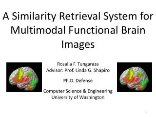 A Similarity Retrieval System for Multimodal Functional Brain Images