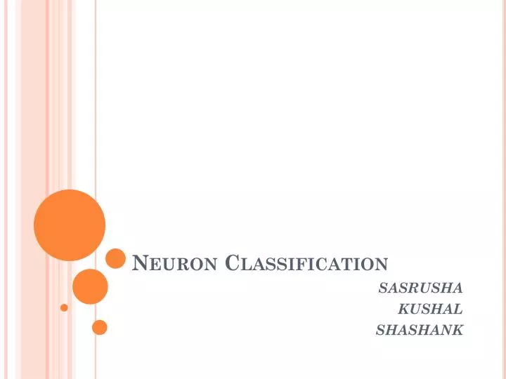 neuron classification
