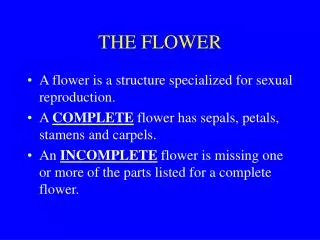 THE FLOWER