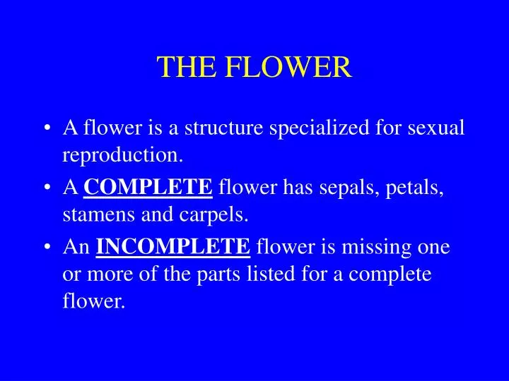 the flower