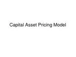 Capital Asset Pricing Model - slide 1
