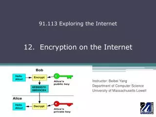 12. Encryption on the Internet