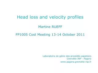Head loss and velocity profiles Martine RUEFF FP1005 Cost Meeting 13-14 October 2011