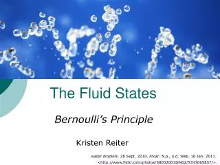 The Fluid States