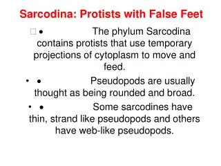 Sarcodina: Protists with False Feet
