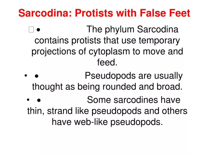 sarcodina protists with false feet