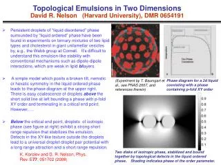Topological Emulsions in Two Dimensions David R. Nelson (Harvard University), DMR 0654191