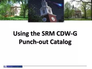 Using the SRM CDW-G Punch-out Catalog