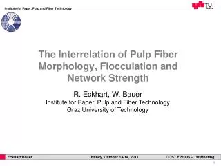 The Interrelation of Pulp Fiber Morphology, Flocculation and Network Strength