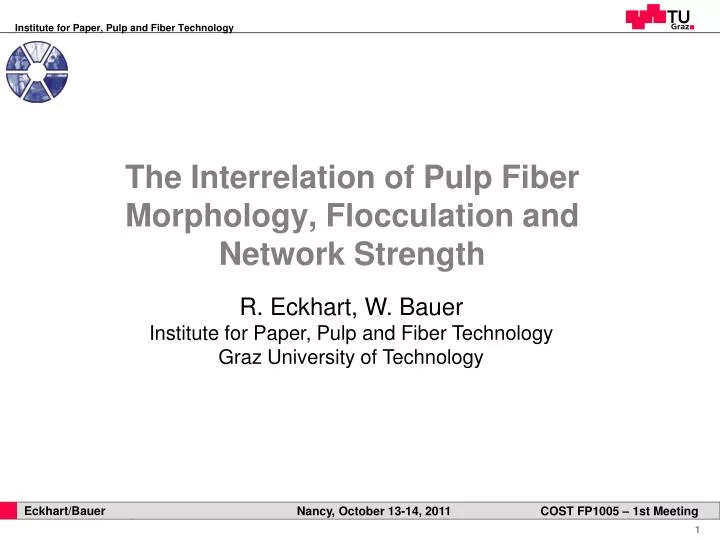 the interrelation of pulp fiber morphology flocculation and network strength