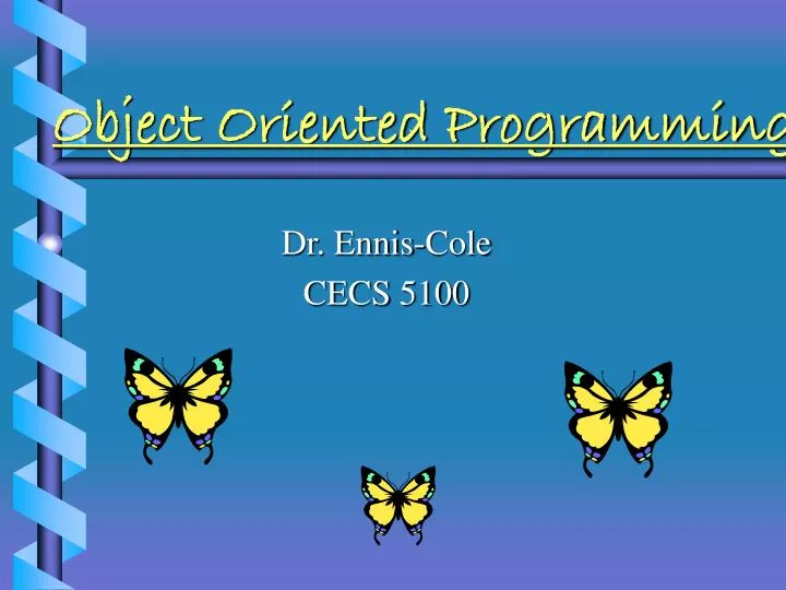 object oriented programming