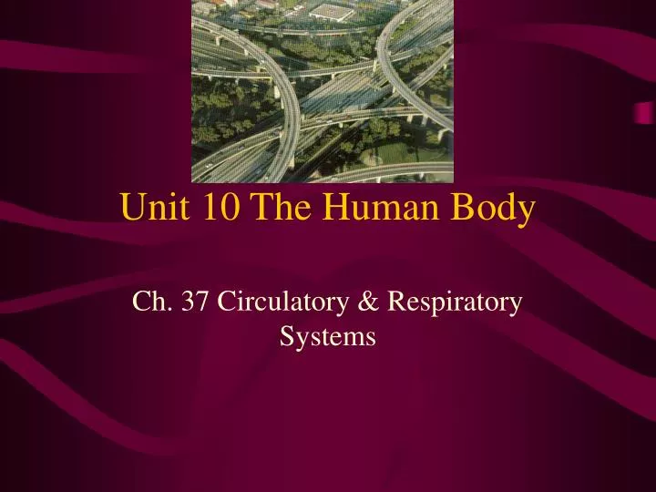 unit 10 the human body