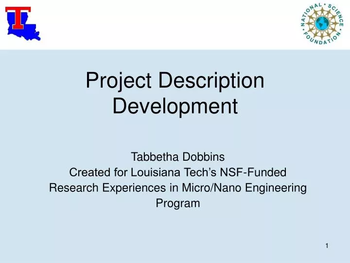 project description development