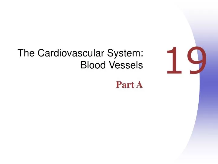 the cardiovascular system blood vessels part a