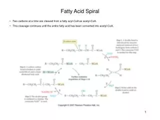 Fatty Acid Spiral