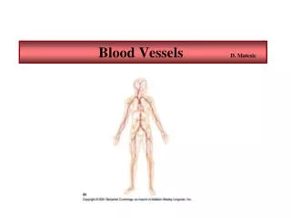 Blood Vessels D. Matesic