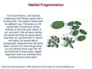 Habitat Fragmentation