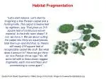 Habitat Fragmentation - slide 1