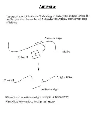 Antisense