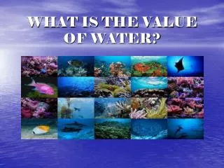 WHAT IS THE VALUE OF WATER?