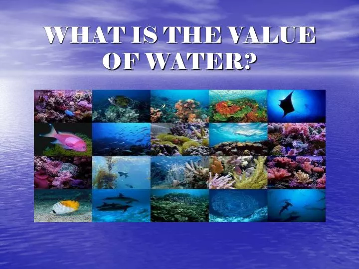 what is the value of water