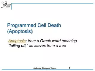 Programmed Cell Death (Apoptosis)
