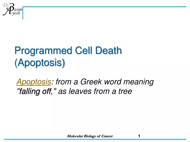 programmed cell death apoptosis
