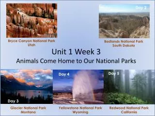 Unit 1 Week 3 Animals Come Home to Our National Parks