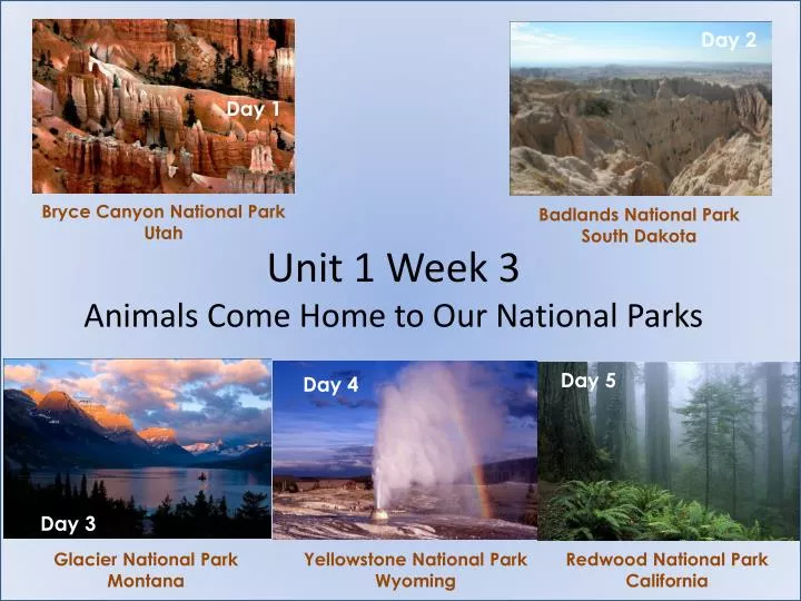 unit 1 week 3 animals come home to our national parks