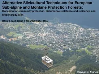 Alternative Silvicultural Techniques for European Sub-alpine and Montane Protection Forests: