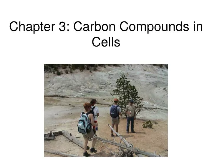 chapter 3 carbon compounds in cells